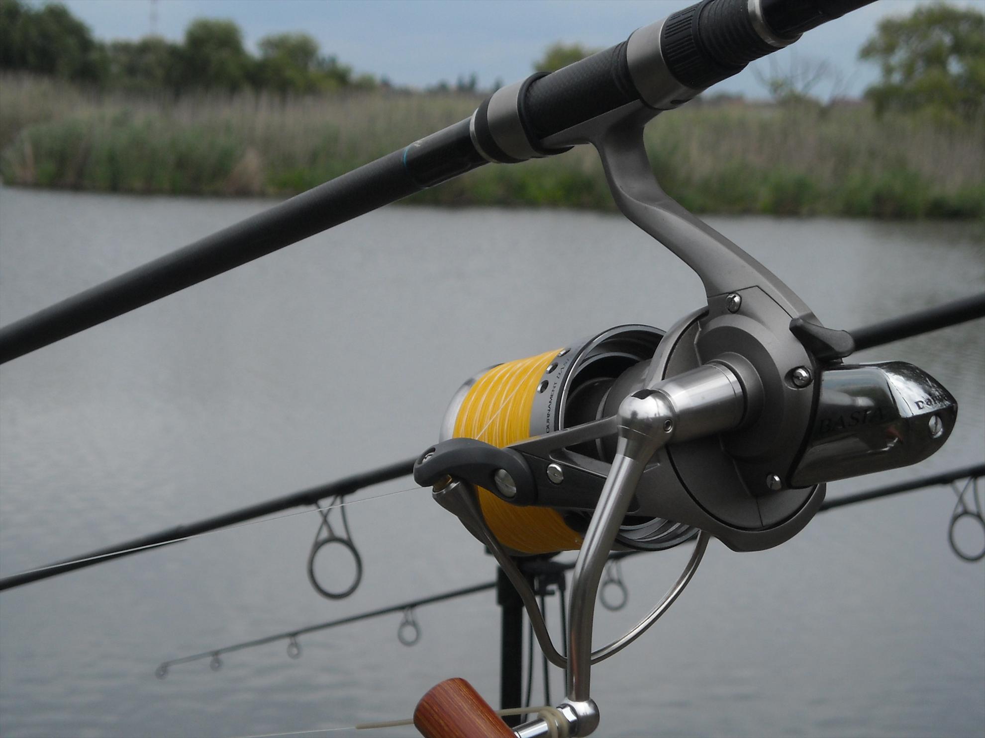 Senior Trophy (2) - 2010 - dscn5970.jpg